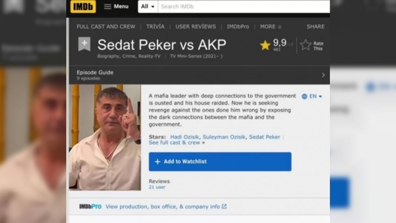 Sedat Peker videoları IMDb'ye girdi