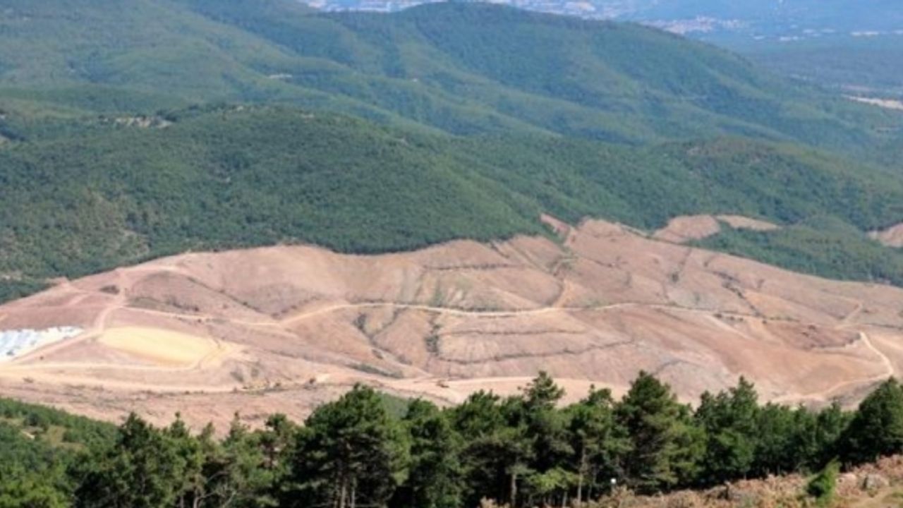 Son 13 yılda 99 bin hektar orman maden sahalarına açıldı