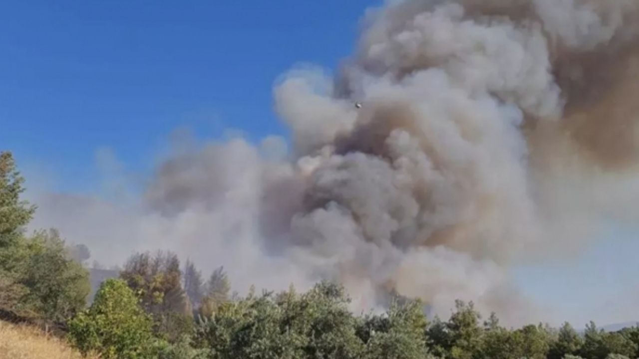 3 ilde orman yangını: Müdahale devam ediyor 