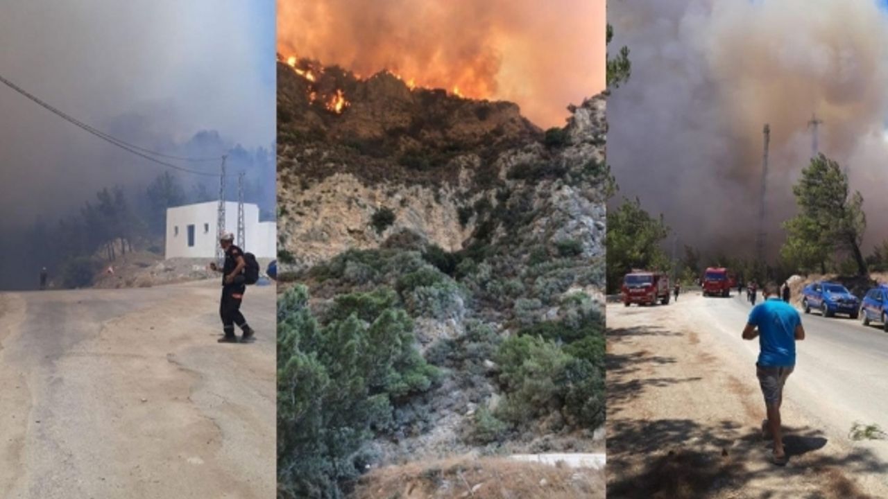 Datça'da orman yangını! Alevler yerleşim yerlerine ulaştı