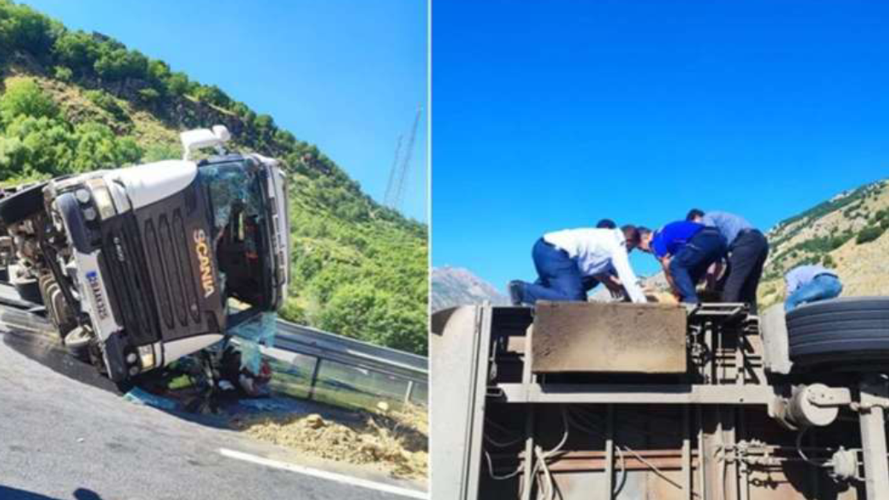 Bitlis'te TIR devrildi: Sürücü ve 150 kurbanlık koyun öldü