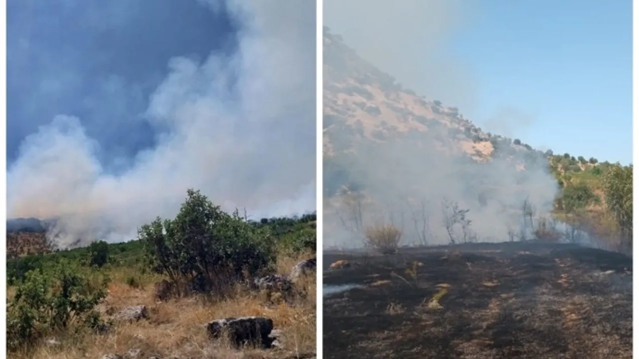 Diyarbakır’da başlayan orman yangını hızla büyüyor!