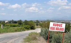 Kars'ta bir köy kuduz nedeniyle karantinaya alındı