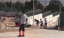 Köpeğin kürekle öldürülmesinde, 2 kişiye 6’şar yıl hapis istenen iddianame kabul edildi