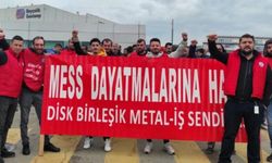 11 fabrikada 2 bin MESS işçisi greve gidiyor