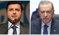 Selahattin Demirtaş'tan Cumhurbaşkanı Erdoğan'a: Sorun sensin