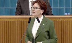 Akşener'den Erdoğan'a: Hangi yüzle çıkıp helallik istiyorsun?