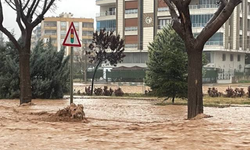 Adıyaman ve Şanlıurfa'da sel: Konteyner suya kapıldı ölü ve kayıplar var