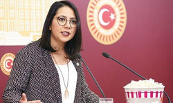 TİP'li Sera Kadıgil, HDP ile anlaşamadıkları noktaları anlattı: Bazı illerde bizim listelerimizle seçime girilsin