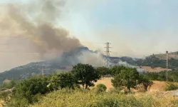 Çanakkale’deki orman yangını nedeniyle boşaltılan köy sayısı 9’a yükseldi