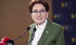 Meral Akşener, Levent Gültekin’i mahkemeye verdi