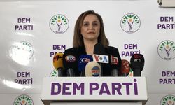 DEM Parti, batıda aday çıkaracağı yerleri açıkladı
