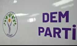 DEM Parti'den Sur açıklaması: Hakaret eden kişinin partimizle bağı yok