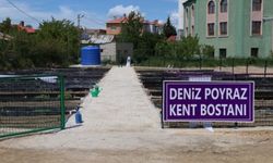 DEM Partili belediyeden 'Deniz Poyraz Kent Bostanı' projesi: 'Kadınlar kendi ekonomisini oluşturacak'