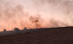Diyarbakır'ın Sur ilçesinde ekili arazide yangın çıktı
