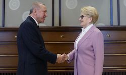 Meral Akşener, Erdoğan ile görüştü