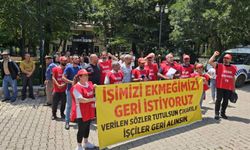 Nazımiye Belediyesi işçileri: Geri dönene kadar belediye önünden ayrılmayacağız