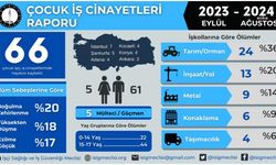 İSİG Meclisi: Son bir yılda en az 66 çocuk işçi hayatını kaybetti