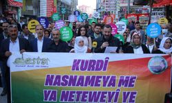 Kürtçeye operasyon Van ve Mardin’de protesto edildi: Dilimizle, kimliğimizle varız