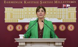 Meral Danış Beştaş, kadın cinayetleri için Meclis Araştırması istedi