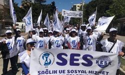 SES Ordu: Sağlık emekçilerinin can güvenliği tehdit altında!