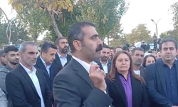 DEM Partili üç belediyeye kayyım atanması Diyarbakır'da protesto edildi