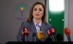 Ayşegül Doğan: Kayyım atamak için ceza veriliyor