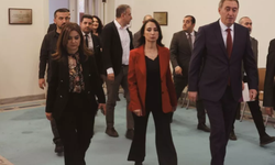 DEM Parti, çözüm süreci için yeni bir tura başlıyor