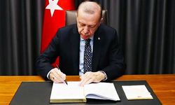 28 vali yardımcısı ve 224 ilçeye kaymakam atandı
