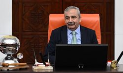 Sırrı Süreyya Önder için TBMM'de anma düzenlenecek