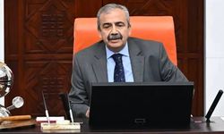 Aytunç Erkin, görüşmelerini anlattı: Sırrı Süreyya Önder'in yeni sürece dair düşünceleri
