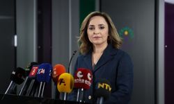 DEM Parti'den İmralı'ya gitme hazırlığı: Farklı siyasi partiler de Öcalan ile görüşebilir