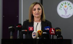 DEM Parti açıkladı: PKK 11 Temmuz'da Süleymaniye'de silah bırakacak