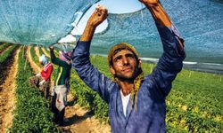Köye dönecek gençlere bedelsiz arazi, kredi ve konut desteği