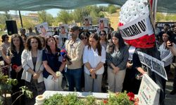 Narin’in katledilmesinin üzerinden bir yıl geçti: Mezarı başında anıldı