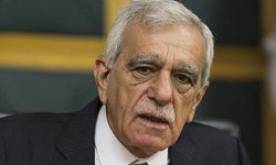 Ahmet Türk, Sabah gazetesine konuştu: Ulusalcılar süreçten rahatsız