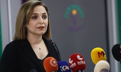 DEM Parti bir kez daha çağrı yaptı: Öcalan'ı dinleyin