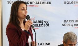 Tülay Hatimoğulları: Süreç devletle yürütülen bir süreçtir