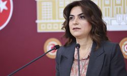 Gülistan Kılıç Koçyiğit: ' Barış yasası çıkarılmalı'