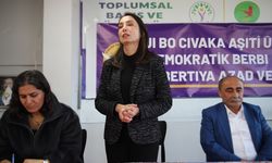 Tülay Hatimoğulları: İktidar süreci erteleme ve oyalama halinde