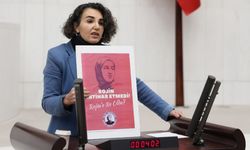 Çiçek Otlu: Rojin Kabaiş’e ne oldu? Katilleri nerede?