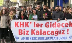 Kamu emekçileri işlerini geri istiyor