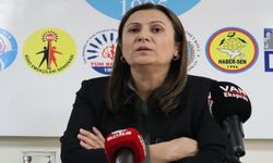 Diyarbakır Barosu'ndan kaydını sildiren Türkan Elçi' den açıklama