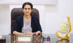 İlham Amed: Diyalog ve müzakere için ilk şart saldırıların durması