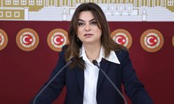 Koçyiğit’ten Meclis Başkanına çağrı: Demokratik çözüm için adım atılmalı