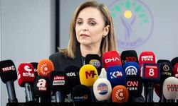 Ayşegül Doğan: Silah bırakanlara yasal koruma sağlanmalı