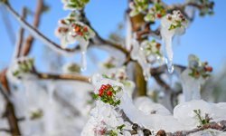 Meteoroloji’den yağış ve zirai don uyarısı