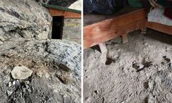 Düzgün Baba Ziyaretgahı’ndaki tahribatla ilgili 3 kişi tutuklandı