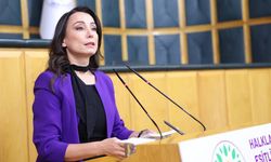 Tülay Hatimoğulları: “Kürtçe her alanda özgürce yaşamalı” mesajı