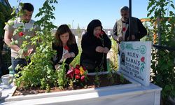 21 aydır aynı soru: Rojin Kabaiş’e ne oldu?